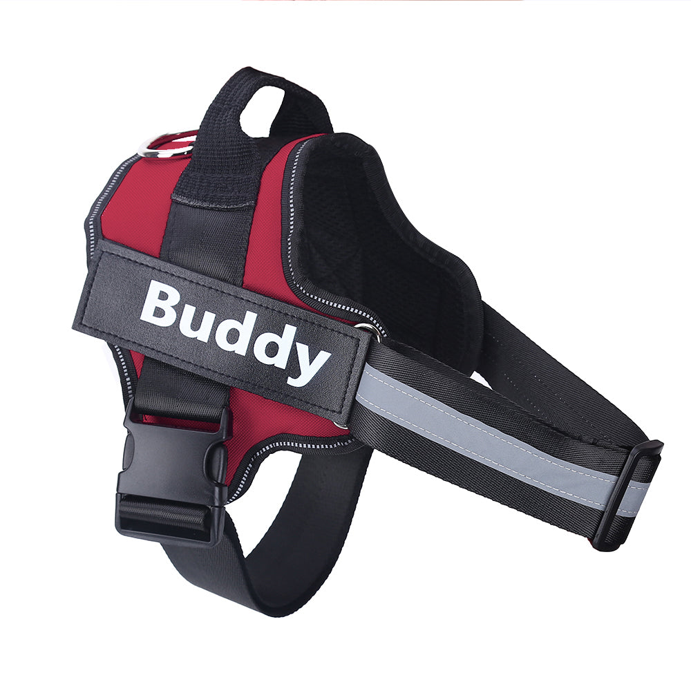 No-Pull Personalized Dog Harness