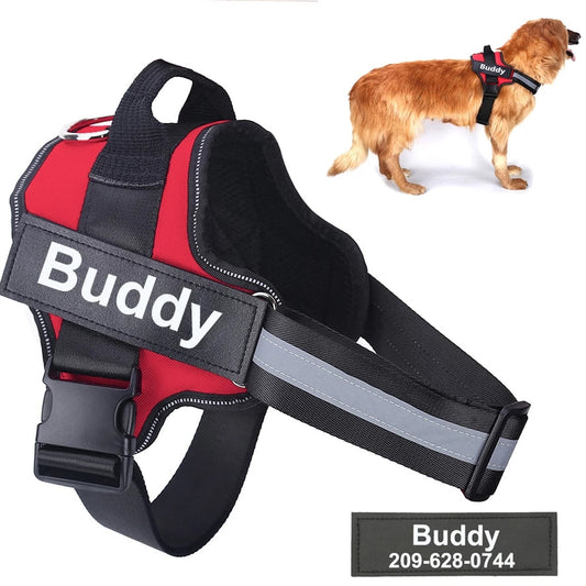 No-Pull Personalized Dog Harness